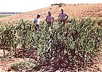 The Deep Bed Farming Society: Breaking New Ground Image
